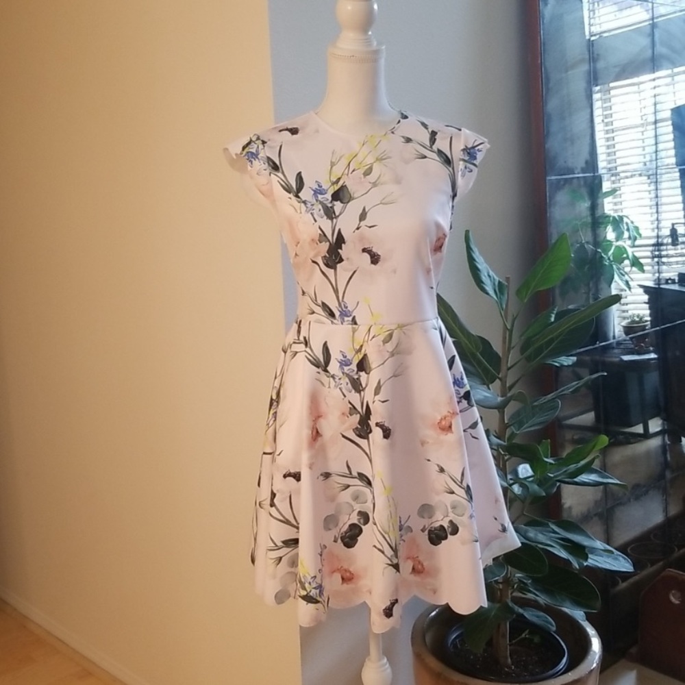 Ted Baker Dress